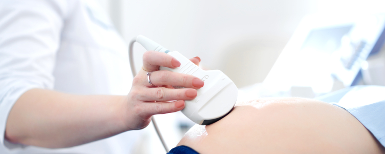transvaginal ultrasound information
