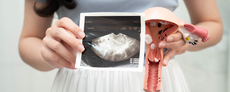 Womb film