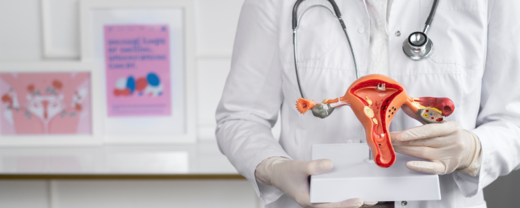 Womb film gives information about hsg 
